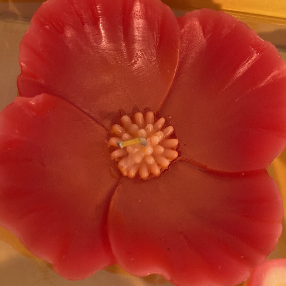 Crate&Barrel flower floating candles New in box - Picture 15 of 16